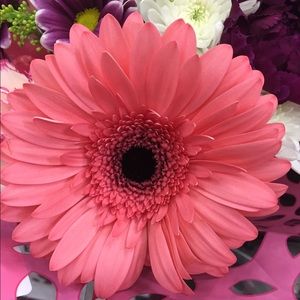 Meet your Posher, Jez